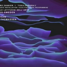 Biennale Svezia/Italia a Göteborg: Zannier